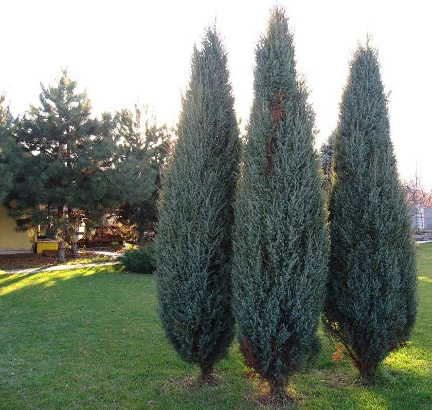 ������ �� ������ ����� Natali  ��������� �� PhotoGeek.ru #������ ��� ������� #����� ��������������