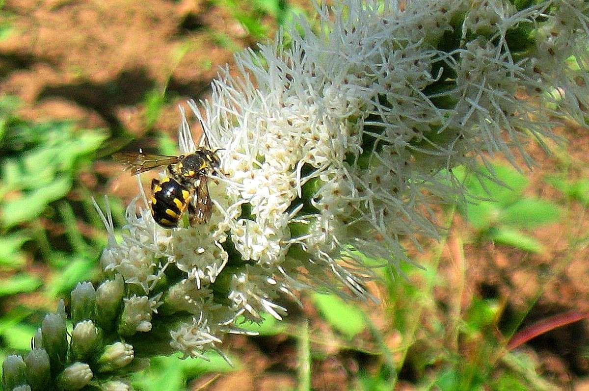 ... ����� Natali  ��������� �� PhotoGeek.ru #����� #�������� ��� #������ ��� ������� #����� ��������������