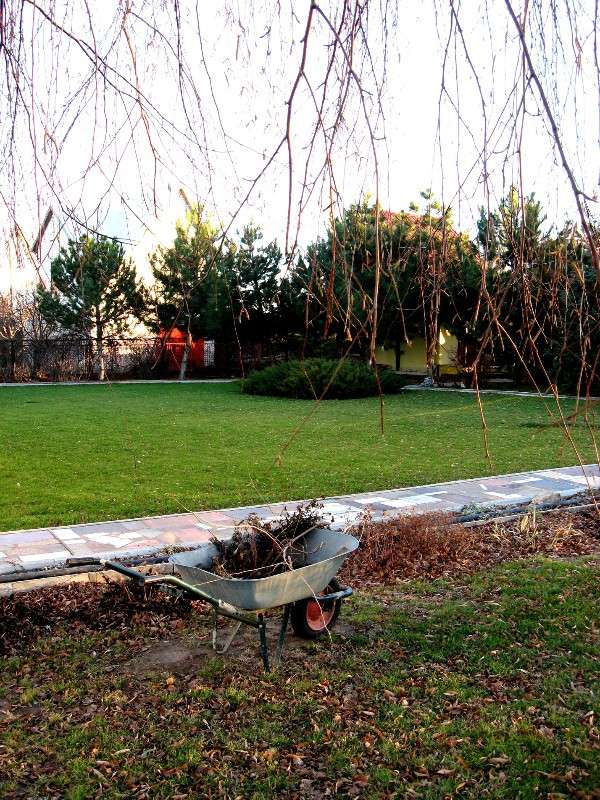 �����, ����� ����� Natali  ��������� �� PhotoGeek.ru #������ ��� ������� #��������� #����� ��������