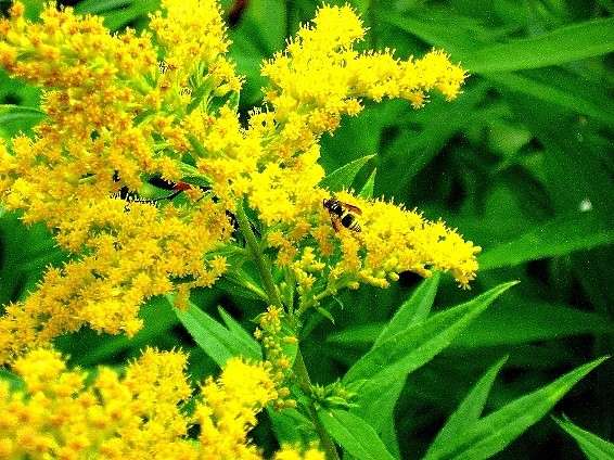 ... ����� Natali  ��������� �� PhotoGeek.ru #�������� ��� #������ ��� ������� #����� ��������������