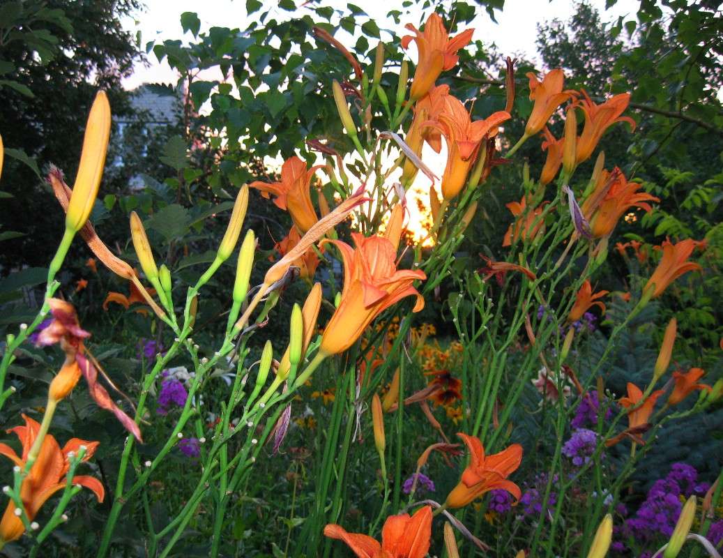 ������ ����� ����� Natali  ��������� �� PhotoGeek.ru #������ ��� ������� #����� ��������������