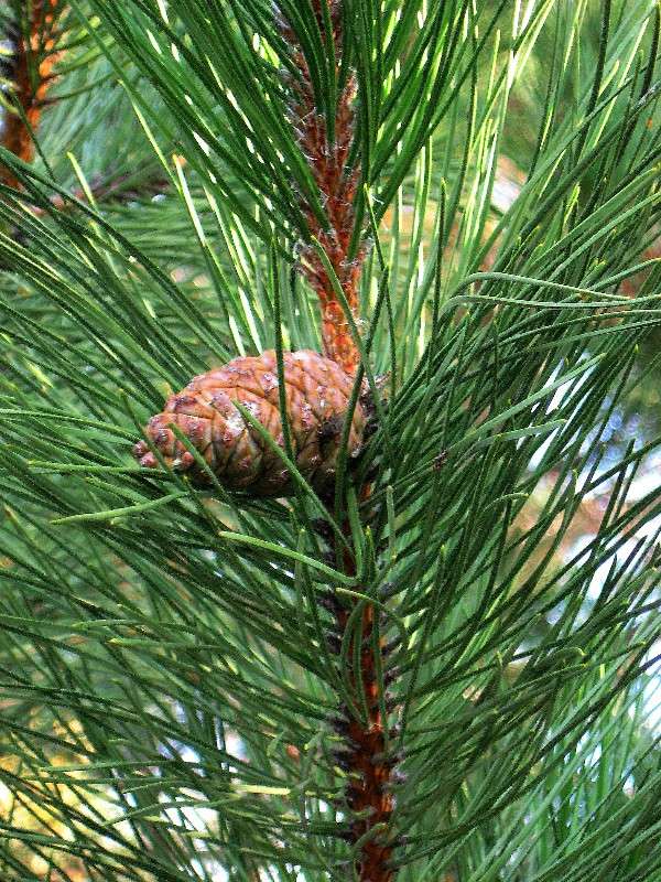 ... ����� Natali  ��������� �� PhotoGeek.ru #������ ��� ������� #����� ��������������