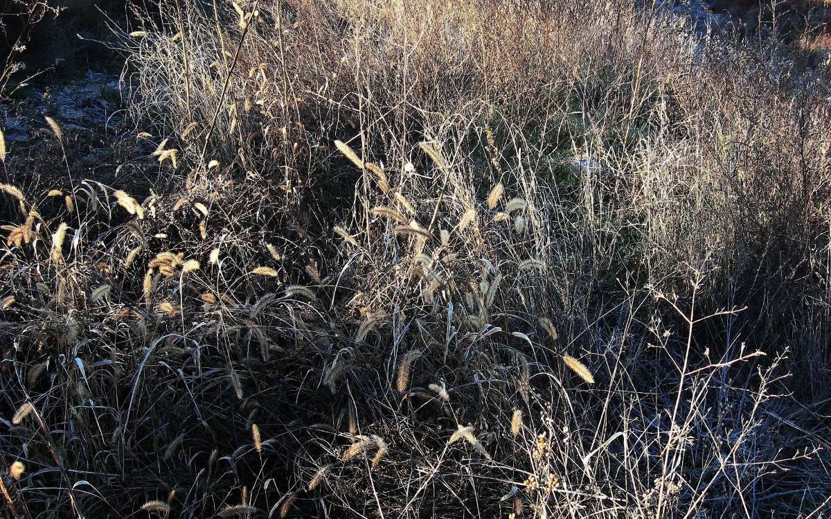 ������ ����� Natali  ��������� �� PhotoGeek.ru #������ ��� ������� #����� ��������������