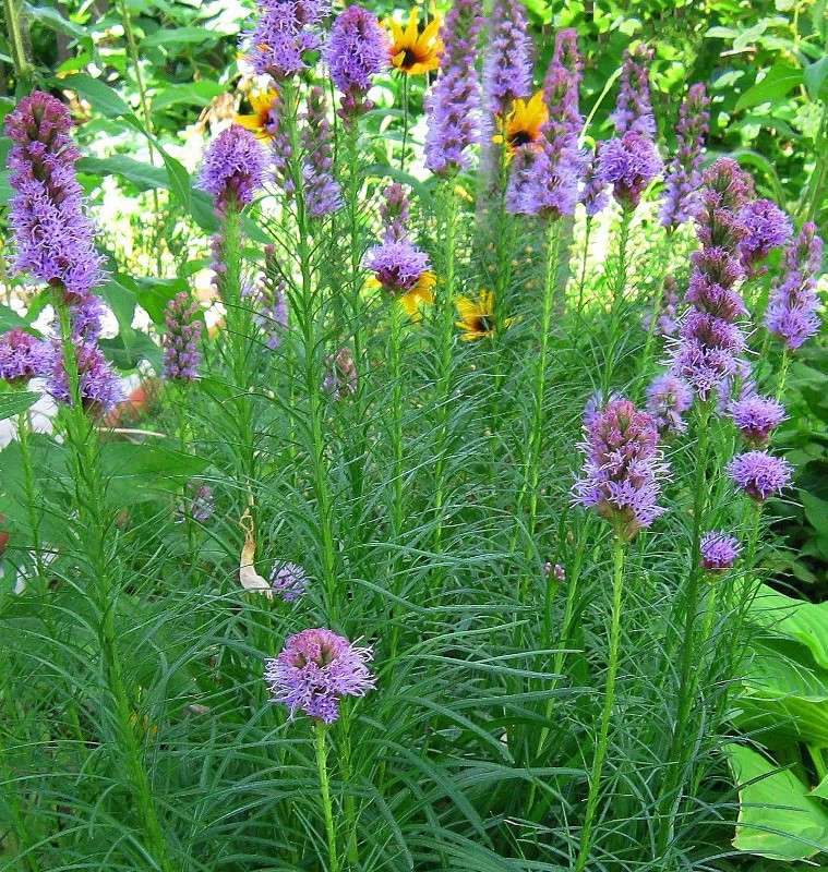 ������� ����� Natali  ��������� �� PhotoGeek.ru #������ ��� ������� #����� ��������������