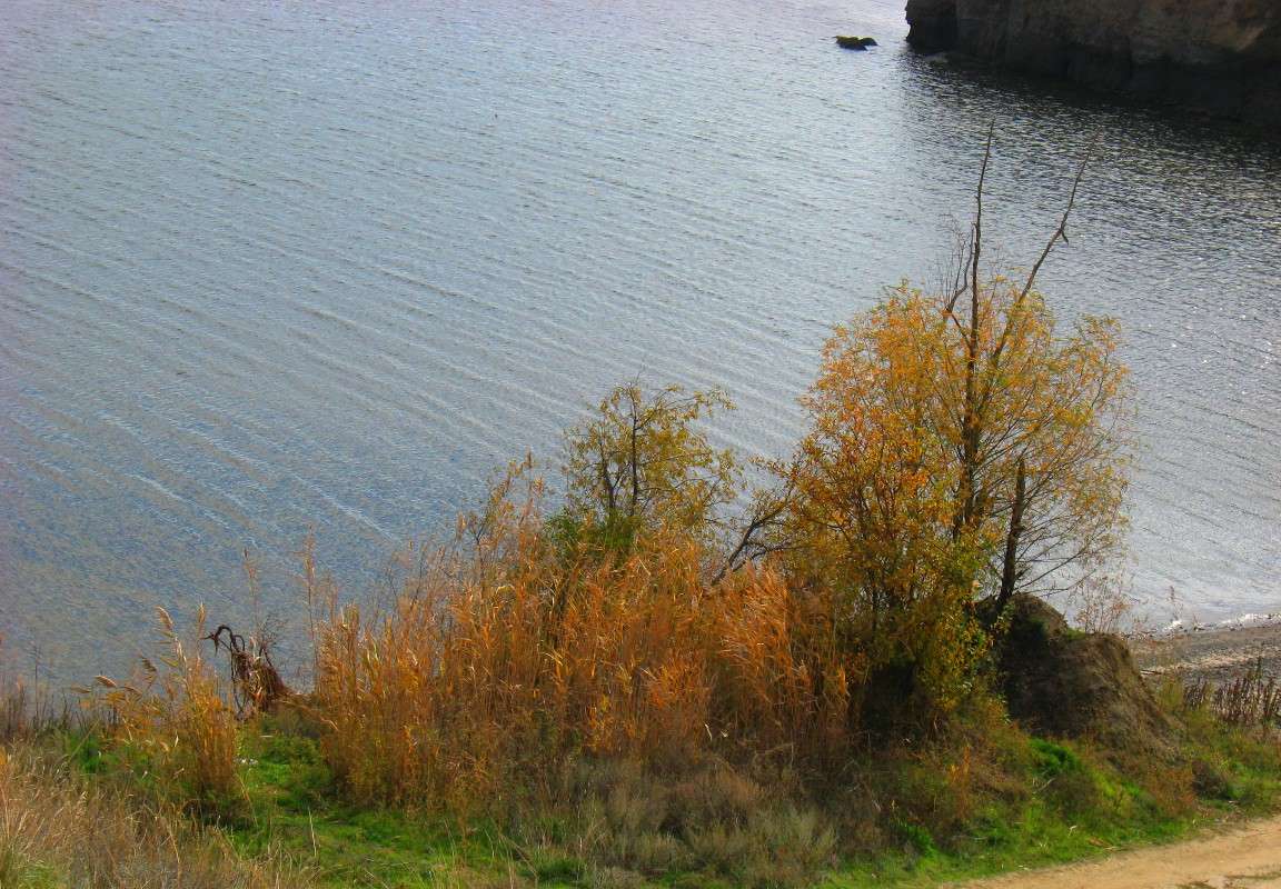 ... ����� Natali  ��������� �� PhotoGeek.ru #������ ��� ������� #����� ��������������