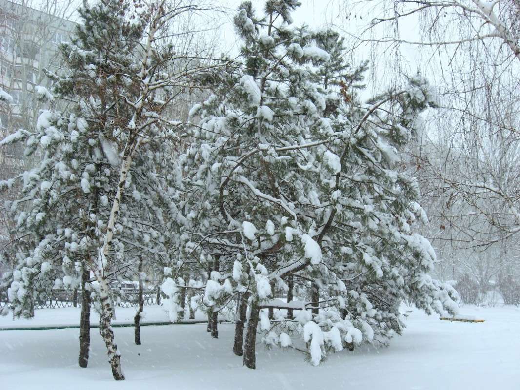 � ���� � ����� ����� Natali  ��������� �� PhotoGeek.ru #������ ��� ������� #����� ��������������