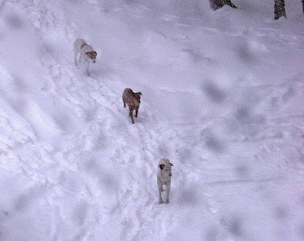 �������� � �������� ����� Natali  ��������� �� PhotoGeek.ru #�������� ���