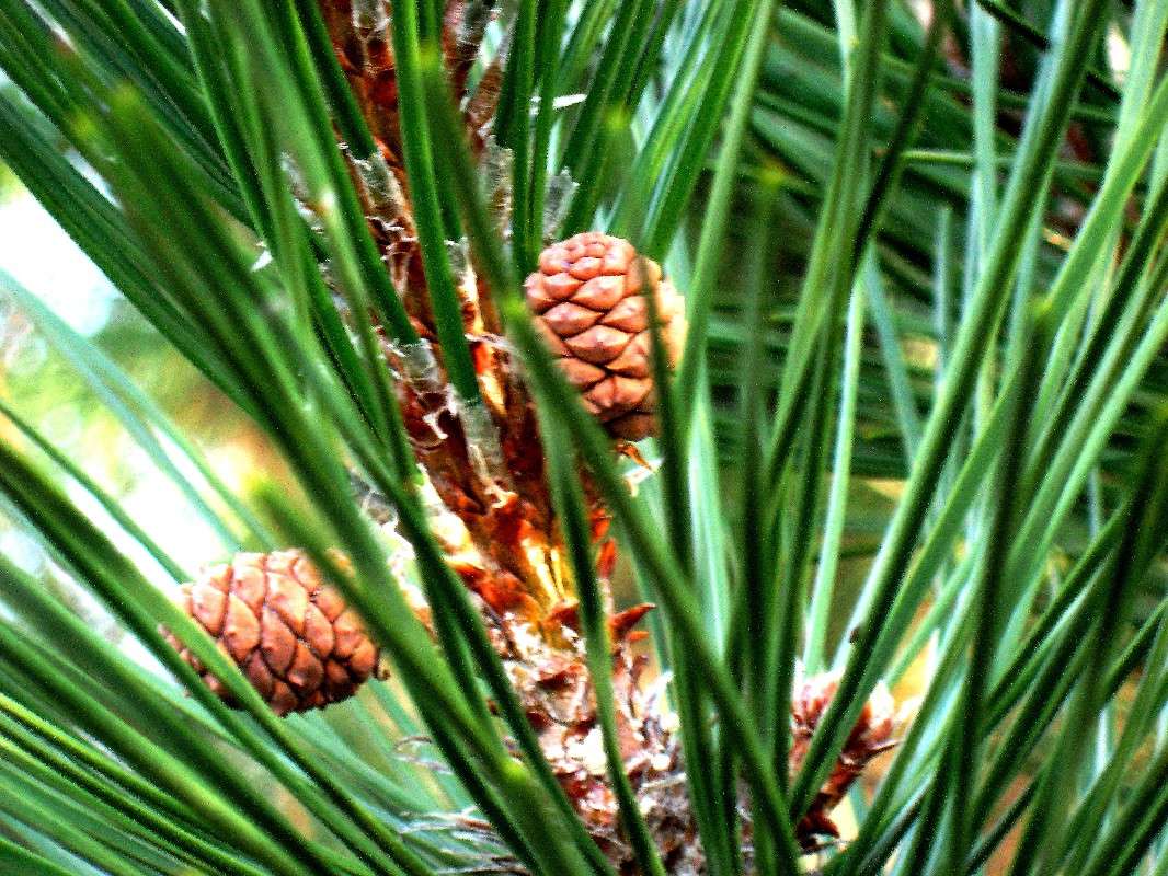 ... ����� Natali  ��������� �� PhotoGeek.ru #������ ��� ������� #����� ��������������