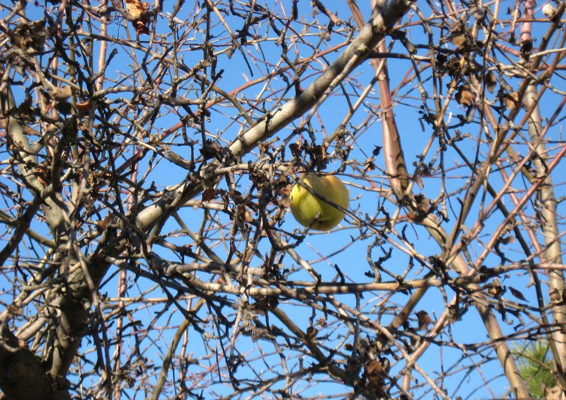 � ��������� ������ ����� Natali  ��������� �� PhotoGeek.ru #������ ��� ������� #����� ��������������