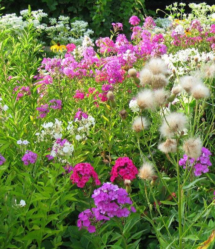 �������� ���� ����� Natali  ��������� �� PhotoGeek.ru #������ ��� ������� #����� ��������������