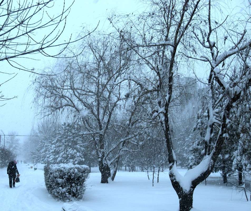 � ���� ���... ����� Natali  ��������� �� PhotoGeek.ru #������ ��� ������� #�������� ���������� #����� ��������