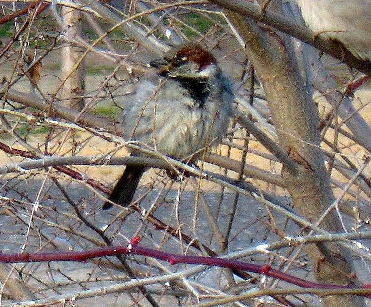 �����. ����� Natali  ��������� �� PhotoGeek.ru #�������� ��� #�������� ����������