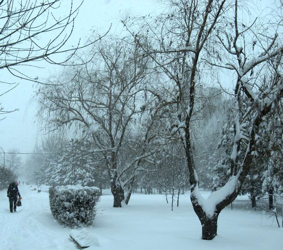 � ���� ���... ����� Natali  ��������� �� PhotoGeek.ru #������ ��� ������� #�������� ����������