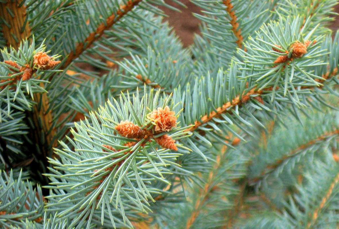 �� �� �����, �� �� ��������....)) ����� Natali  ��������� �� PhotoGeek.ru #����� #������ ��� ������� #����� ��������������