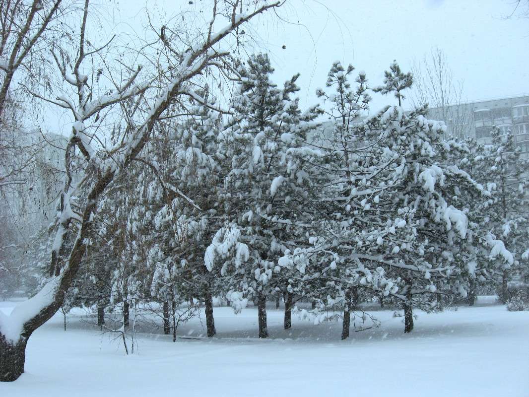 � ���� ���.... ����� Natali  ��������� �� PhotoGeek.ru #������ ��� �������