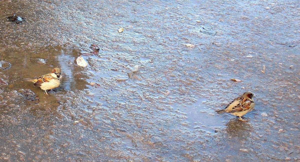 �� ��������, � �� �� �������... )) ����� Natali  ��������� �� PhotoGeek.ru #�������� ���