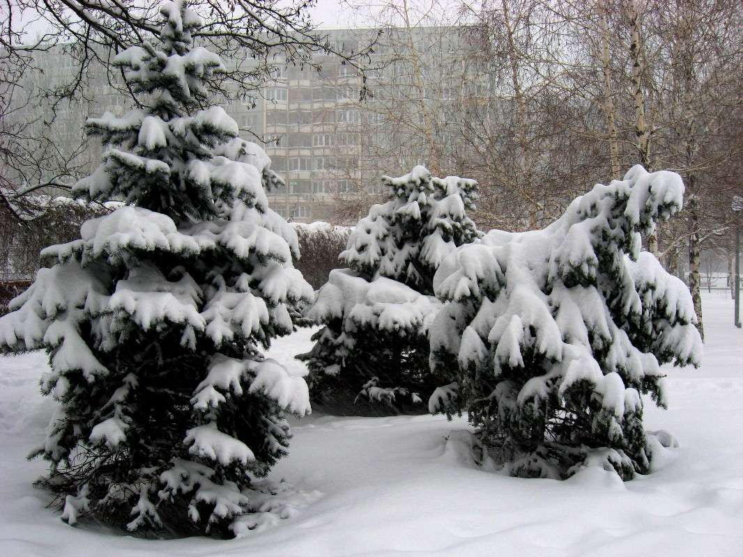 ��� ���������� ����� Natali  ��������� �� PhotoGeek.ru #������ ��� �������