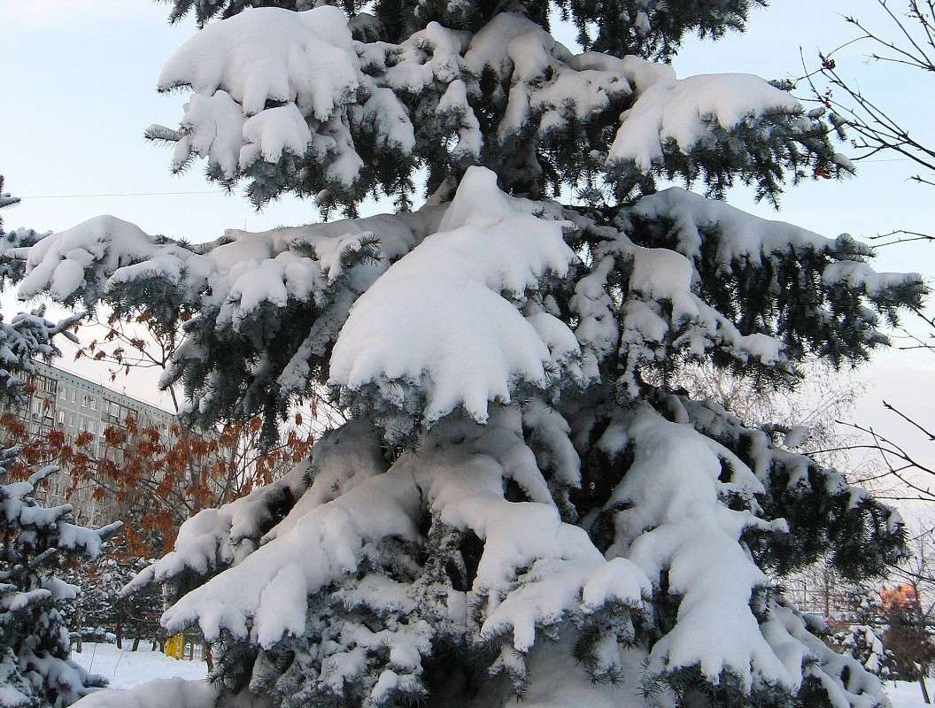 � ��� � ����.... ))) ����� Natali  ��������� �� PhotoGeek.ru #������ ��� ������� #����� ��������������