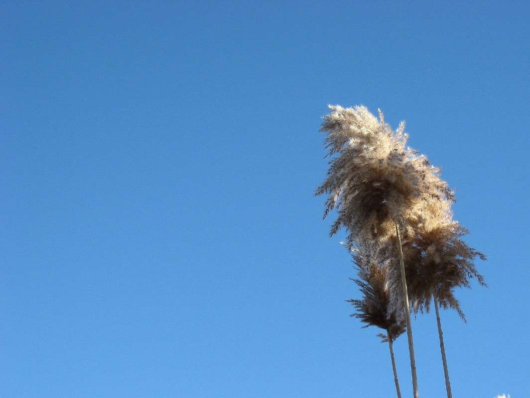 ������������ � ����. ����� Natali  ��������� �� PhotoGeek.ru #������ ��� ������� #����� ��������������