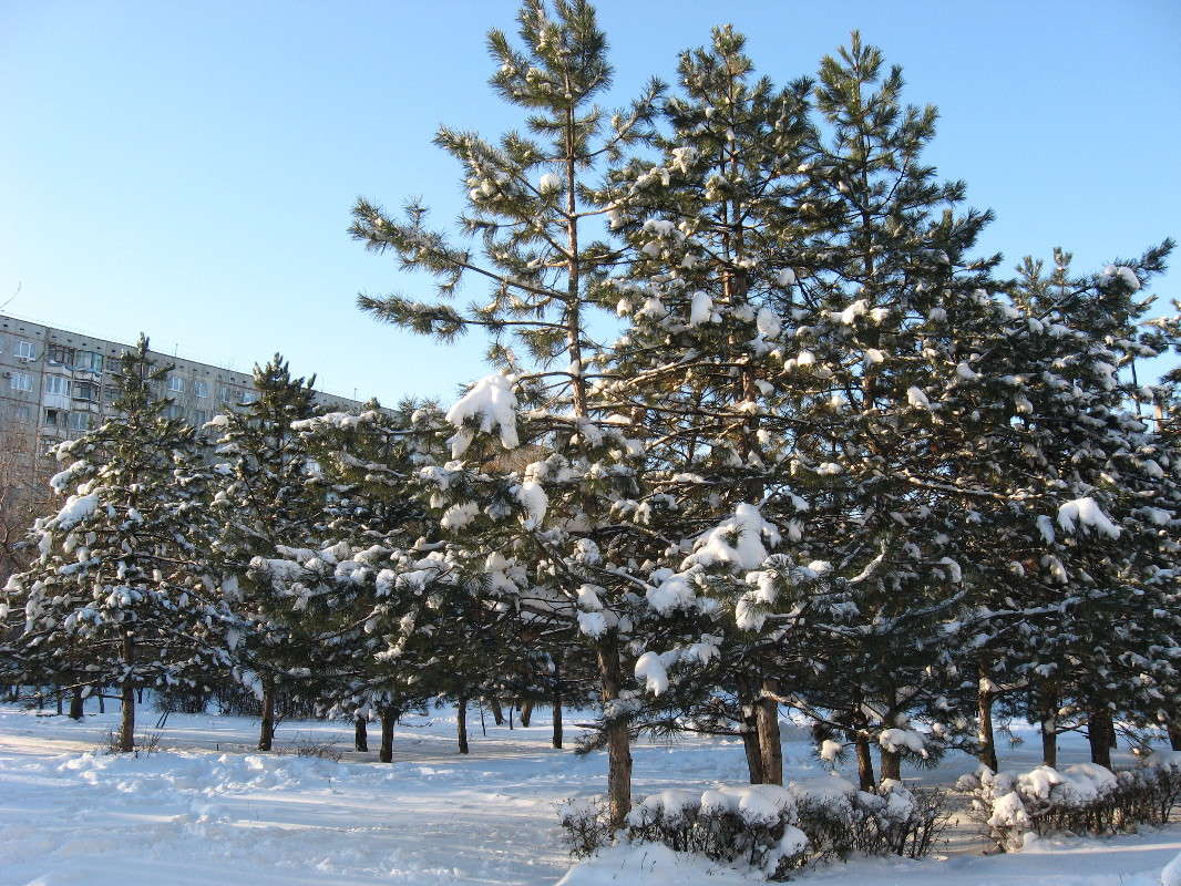 � ��������� ����� ����� Natali  ��������� �� PhotoGeek.ru #������ ��� ������� #����� ��������������