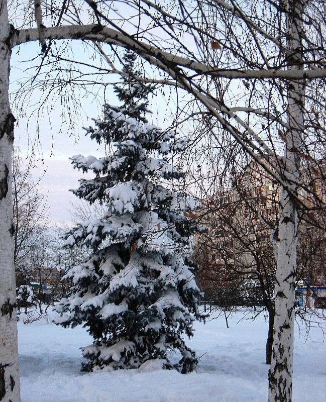 ��������� ������ ������� �����. ����� Natali  ��������� �� PhotoGeek.ru #������ ��� ������� #����� ��������������