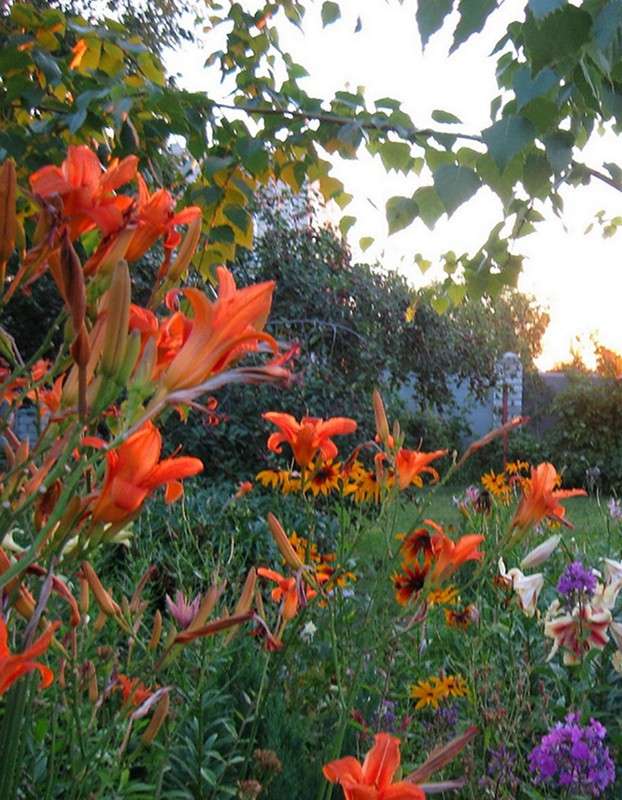 ������ �����. ����� Natali  ��������� �� PhotoGeek.ru #������ ��� ������� #����� ��������������