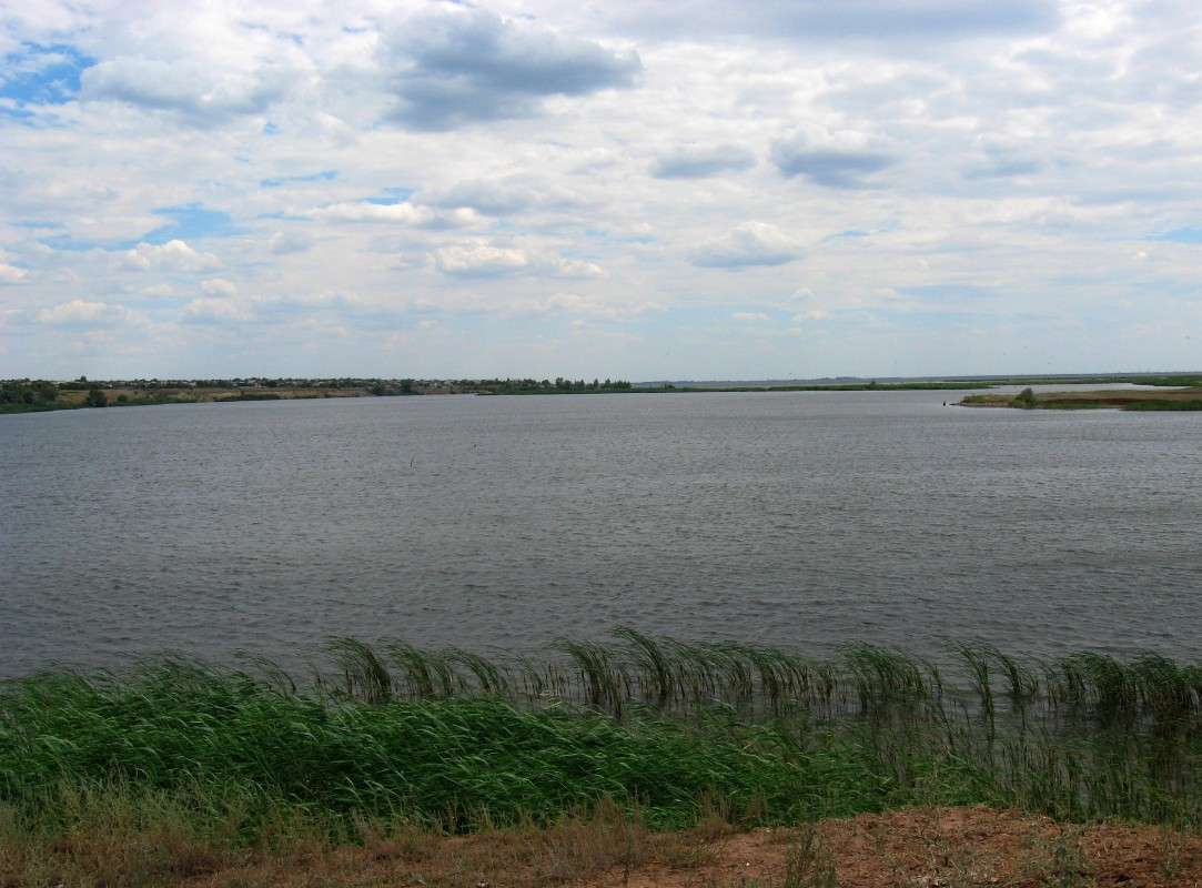 �� ������ � ���������� ����... ����� Natali  ��������� �� PhotoGeek.ru #������ ��� ������� #����� ��������������