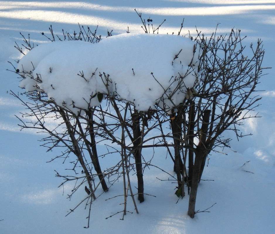 ��� ��������� � ������. ����� Natali  ��������� �� PhotoGeek.ru #������ ��� ������� #����� ��������������