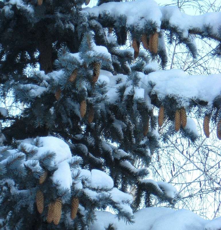 ... ����� Natali  ��������� �� PhotoGeek.ru #������ ��� ������� #����� ��������������