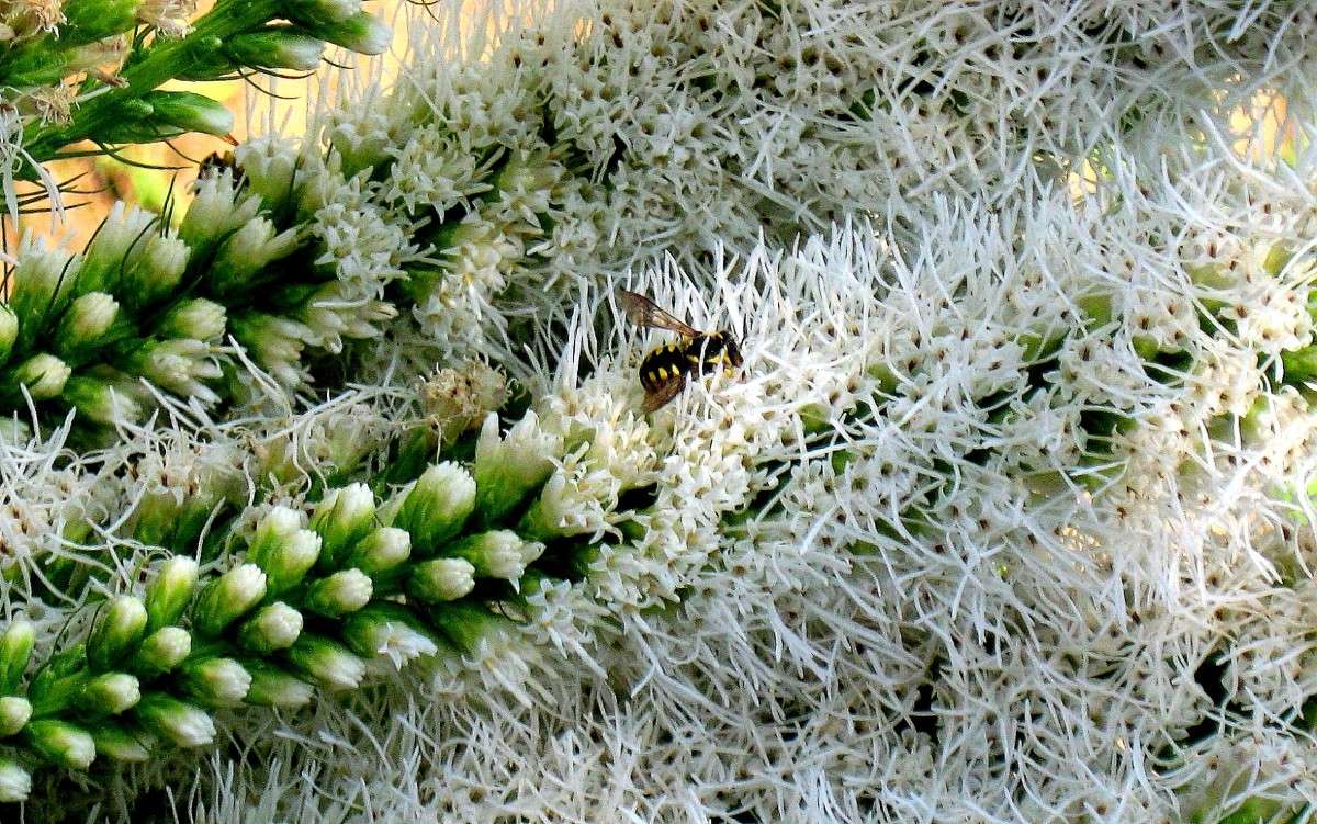 � � ����� �������. ����� Natali  ��������� �� PhotoGeek.ru #����� #�������� ��� #������ ��� ������� #����� ��������������