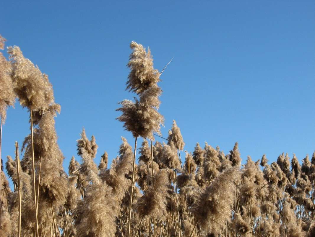 ��� ����� ���� �������� ����� Natali  ��������� �� PhotoGeek.ru #������ ��� ������� #����� ��������������