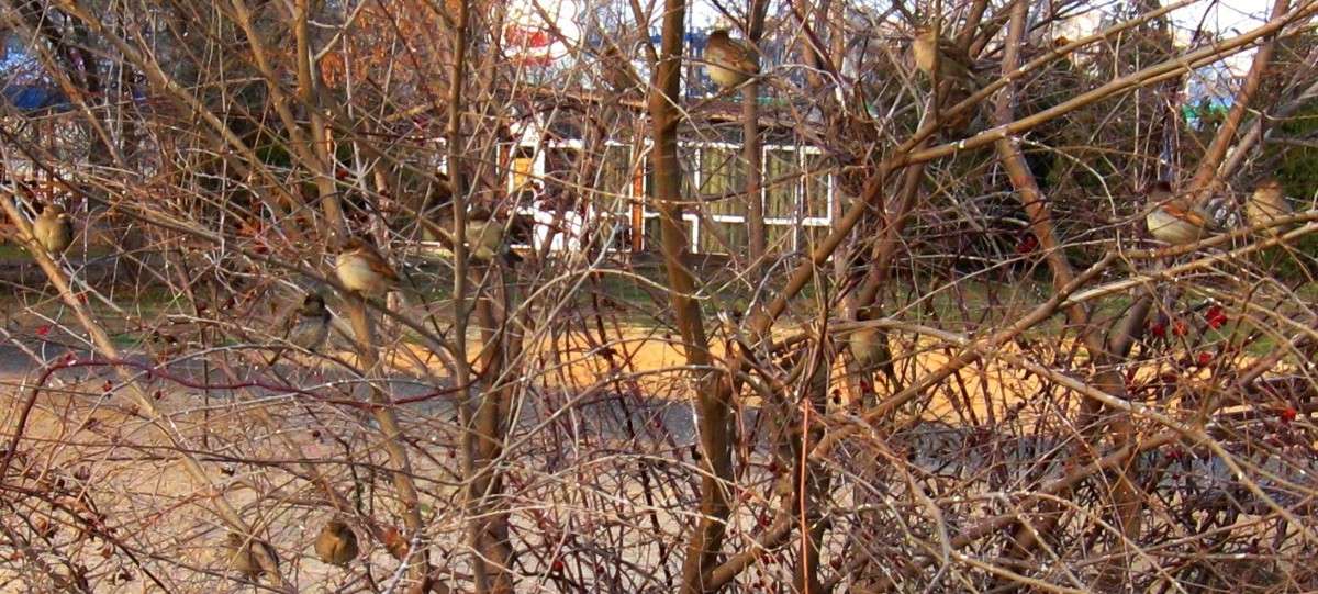 ��������������� !!! ����� Natali  ��������� �� PhotoGeek.ru #�������� ���