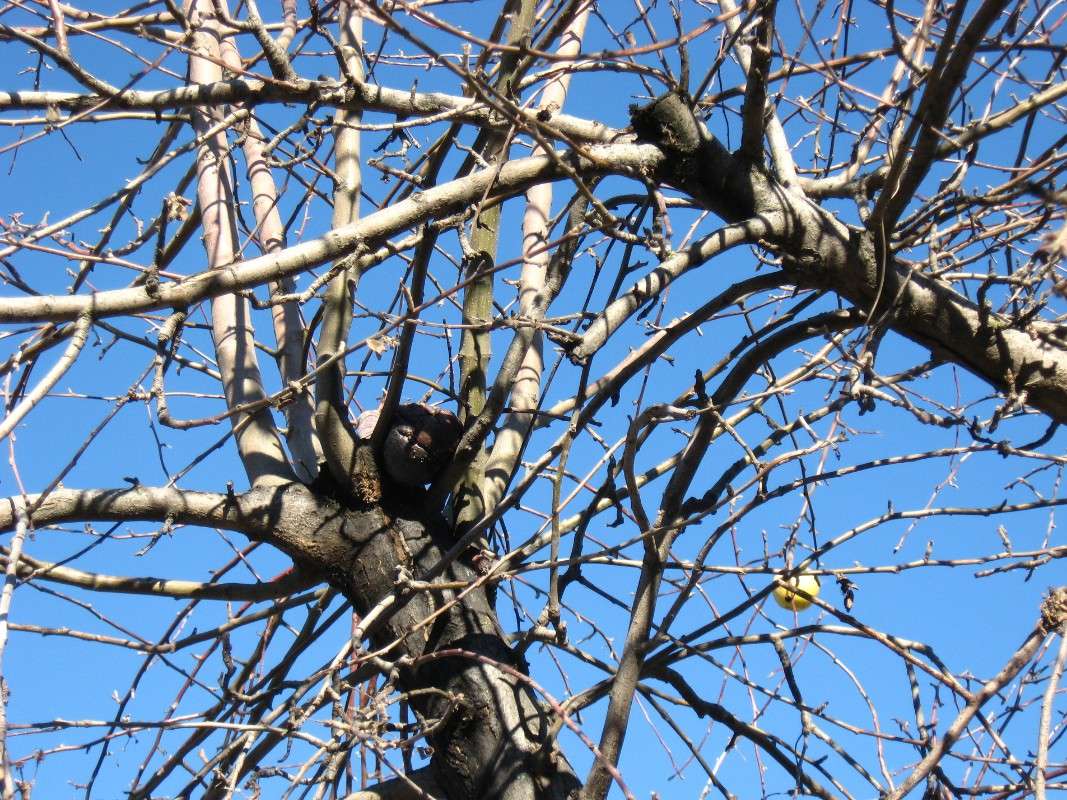 ������ �� ������������ ����� Natali  ��������� �� PhotoGeek.ru #������ ��� ������� #����� ��������������