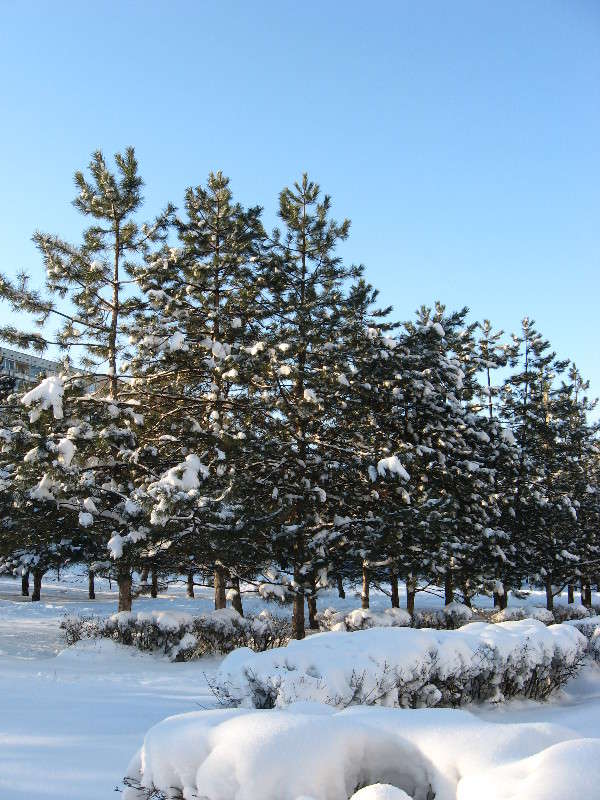 ... ����� Natali  ��������� �� PhotoGeek.ru #������ ��� ������� #����� ��������������