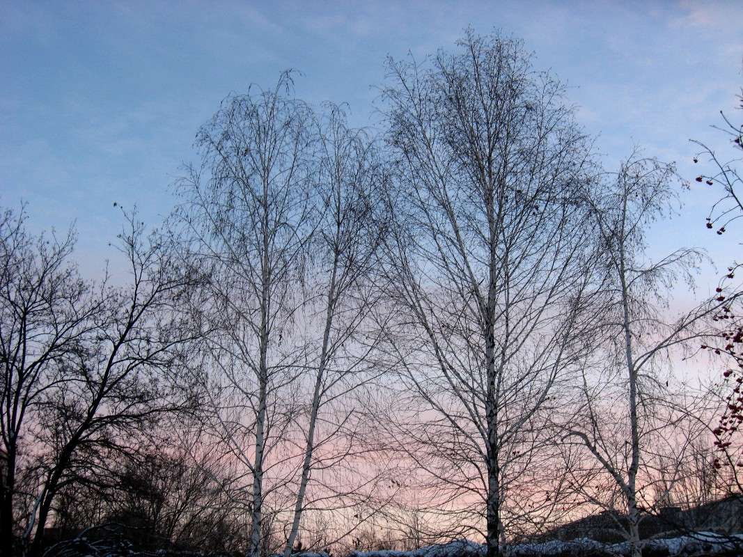 �����. ����� Natali  ��������� �� PhotoGeek.ru #������ ��� ������� #����� ��������������