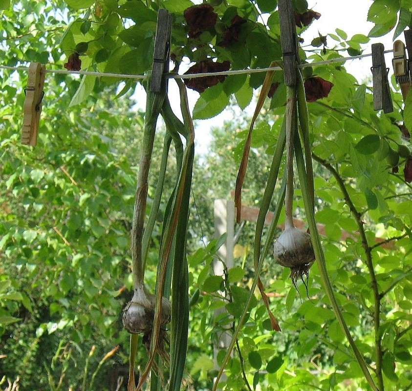 �� ���������.... ))) ����� Natali  ��������� �� PhotoGeek.ru #������ ��� ������� #�������� ���������� #����� ��������������