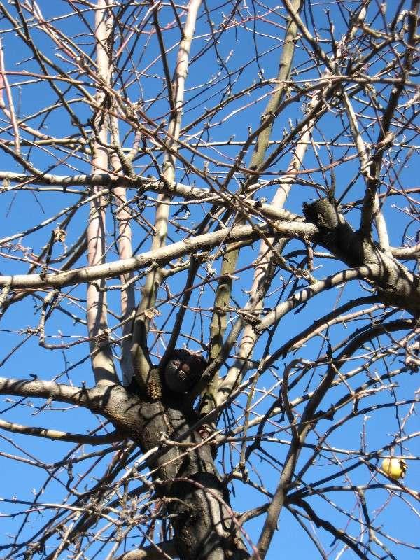 ������ �� ������������ ����� Natali  ��������� �� PhotoGeek.ru #������ ��� ������� #����� ��������������