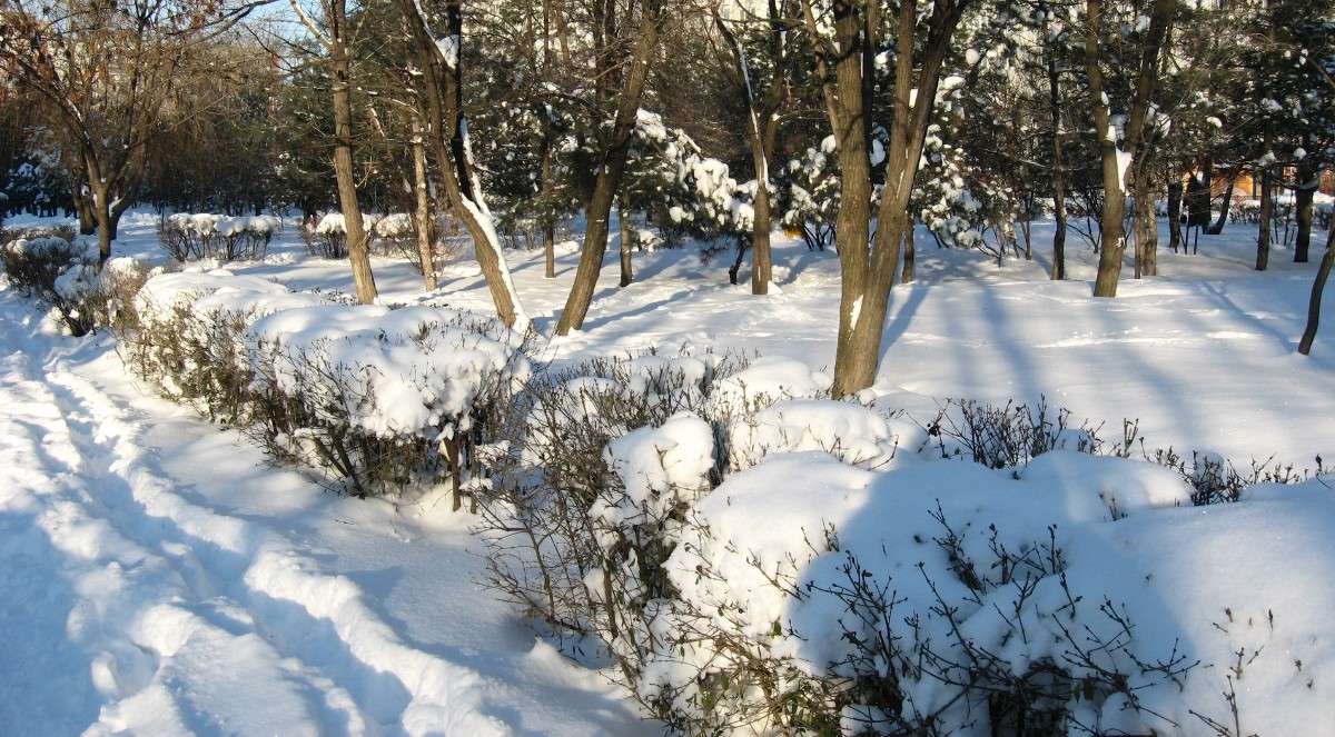 ... ����� Natali  ��������� �� PhotoGeek.ru #������ ��� ������� #����� �������������� #����� ��������