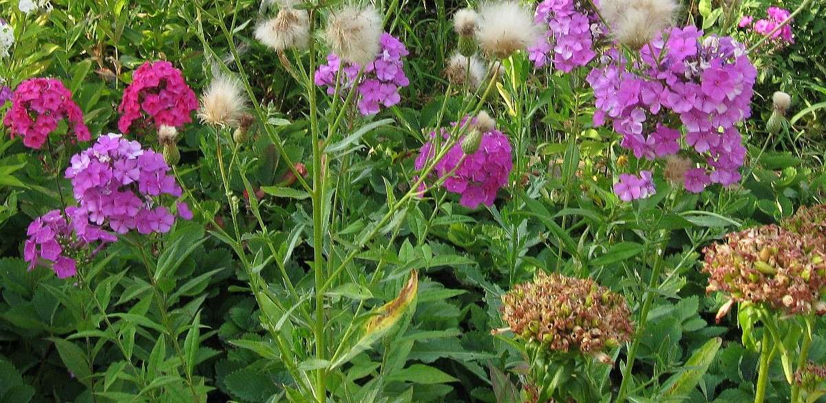 ... ����� Natali  ��������� �� PhotoGeek.ru #������ ��� ������� #����� ��������������