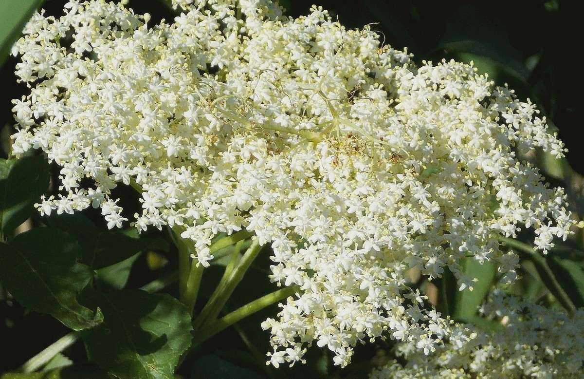 ������ ��������  ! ����� Natali  ��������� �� PhotoGeek.ru #������ ��� ������� #����� ��������������