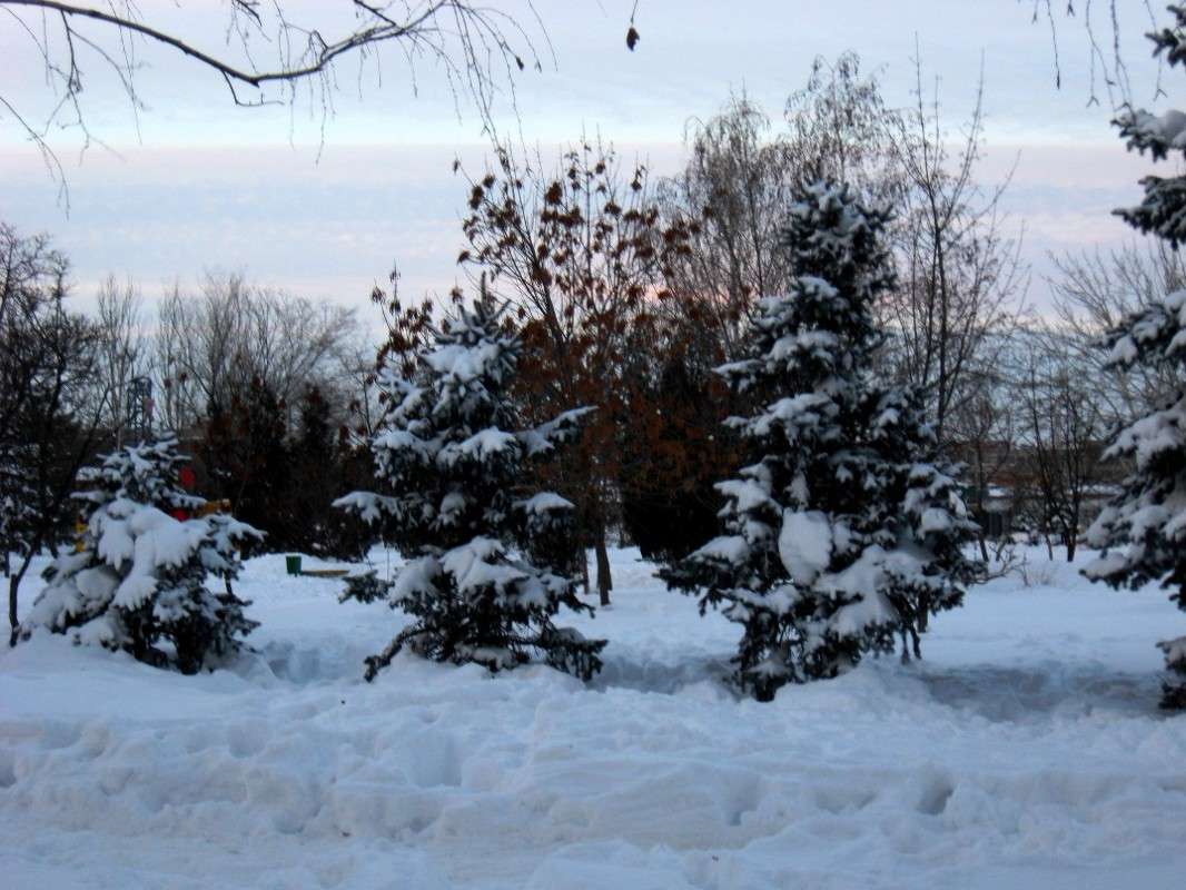 ... ����� Natali  ��������� �� PhotoGeek.ru #������ ��� ������� #����� ��������������