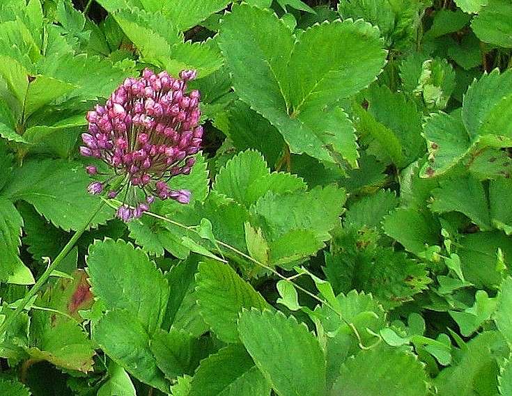 � ����� �� ��� ����� Natali  ��������� �� PhotoGeek.ru #������ ��� ������� #����� ��������������