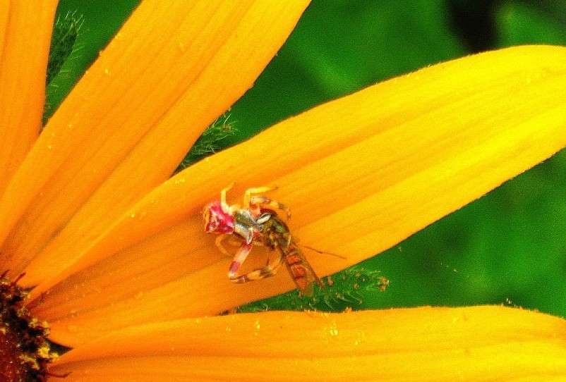 ����� �����-�� ������, ����������.... ����� Natali  ��������� �� PhotoGeek.ru #�������� ��� #������ ��� ������� #���������