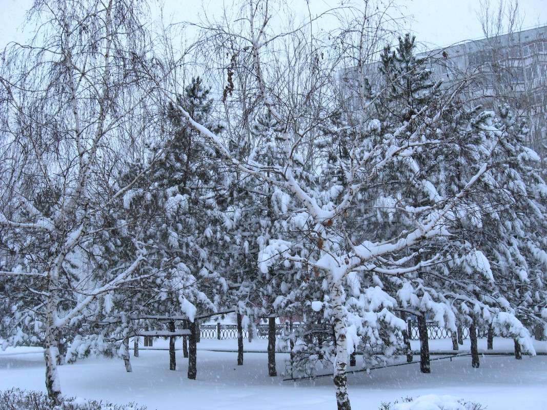 ��������, ��������..... ����� Natali  ��������� �� PhotoGeek.ru #������ ��� ������� #����� ��������������