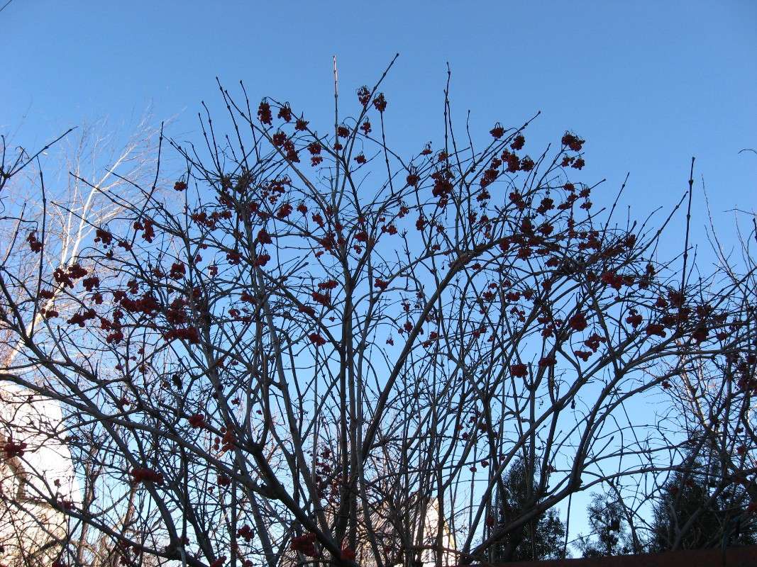 ����� ������  )) ����� Natali  ��������� �� PhotoGeek.ru #������ ��� ������� #����� ��������������