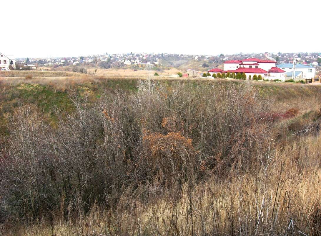 ������� ����  ))) ����� Natali  ��������� �� PhotoGeek.ru #������ ��� ������� #����� �������������� #����� ��������