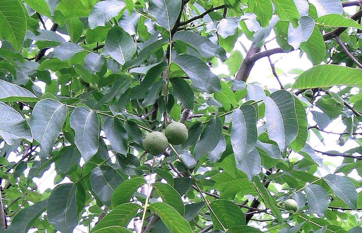 ��� ������ ��� ������� ����� Natali  ��������� �� PhotoGeek.ru #������ ��� ������� #����� ��������������