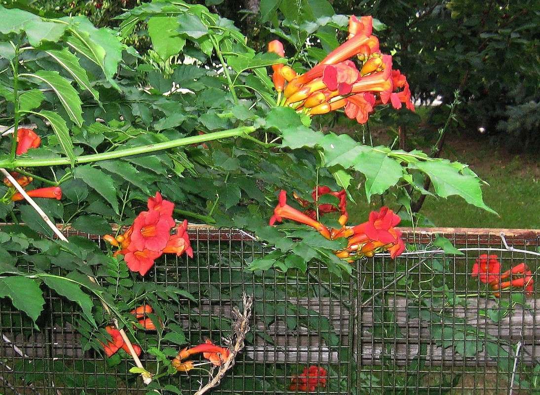 ... ����� Natali  ��������� �� PhotoGeek.ru #������ ��� ������� #����� ��������������