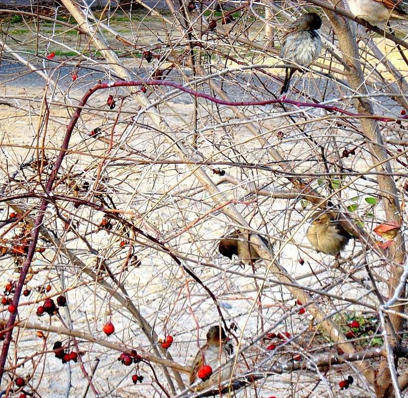 ����� ������ ����� Natali  ��������� �� PhotoGeek.ru #�������� ��� #������ ��� �������