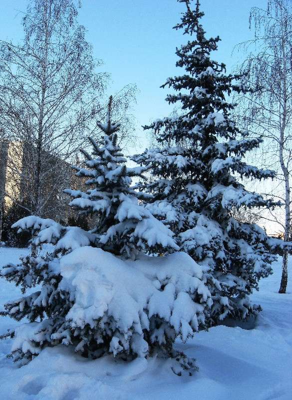 ... ����� Natali  ��������� �� PhotoGeek.ru #������ ��� ������� #����� ��������������